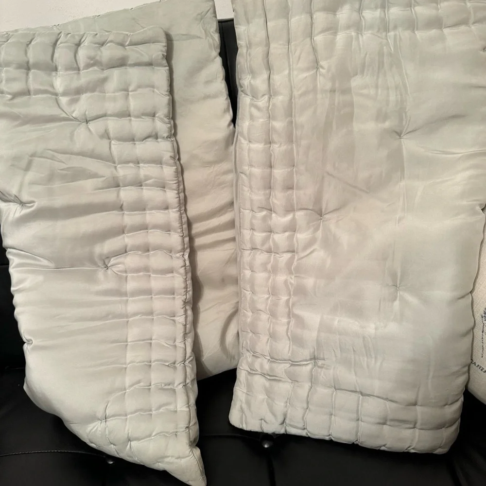 Pottery Barn | 100% Silk | Euro Size | 2/ Pillow Covers